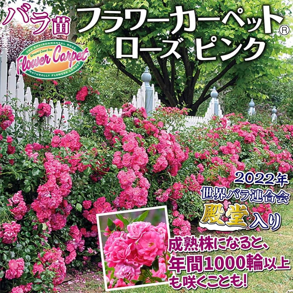 フランフラン バラ ピンク　ローズ　絨毯 fcr003_01a.jpg